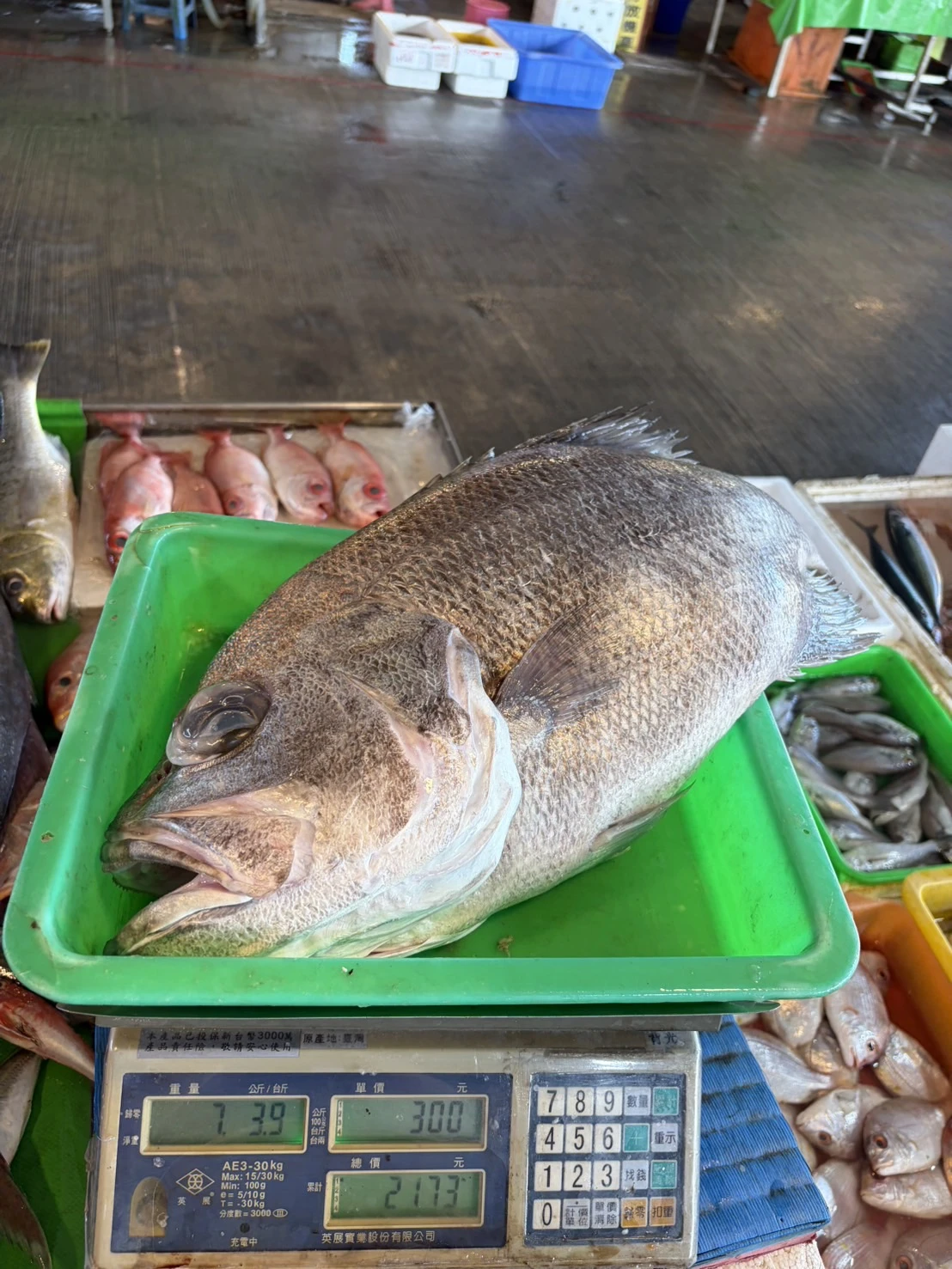 黑大目（葉雕）
