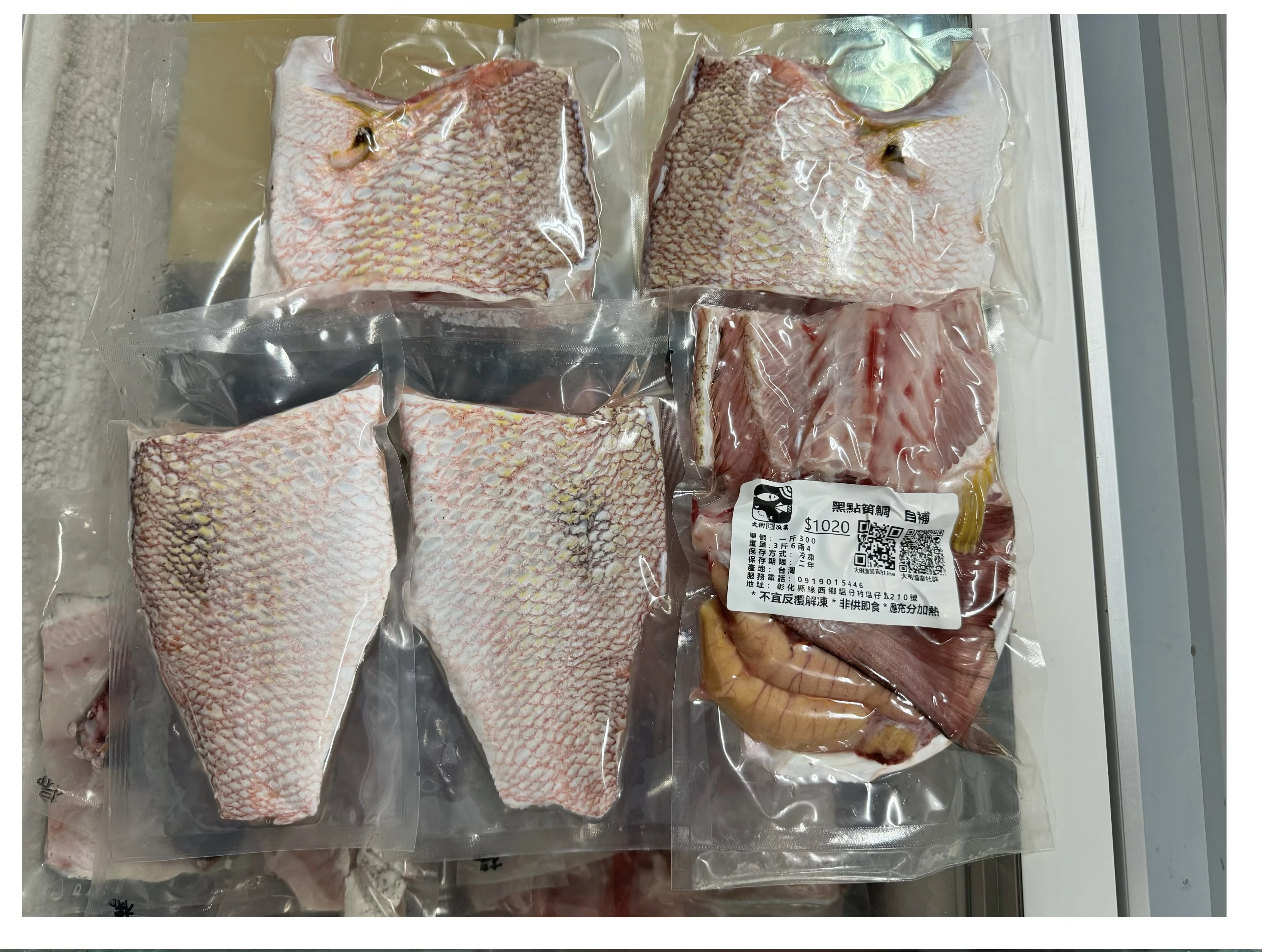 黑點笛鯛 黑點仔 點痣