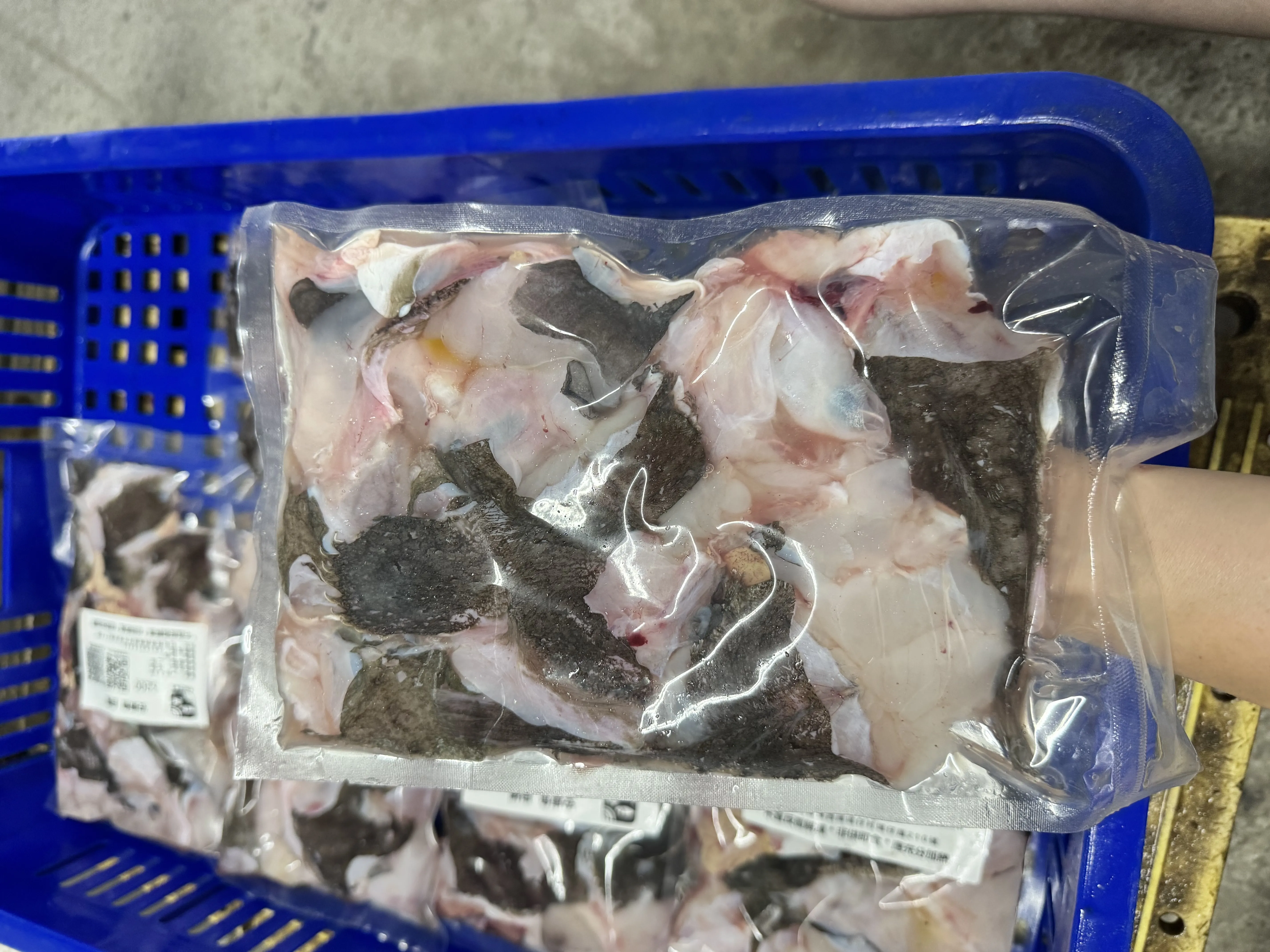 鮟鱇魚