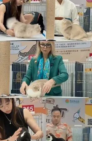 好的繁育 看得見
