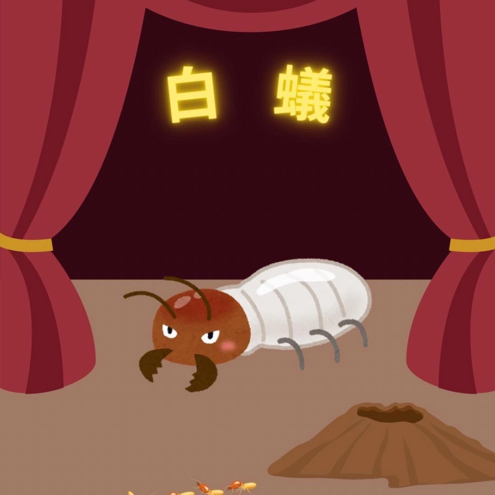 除白蟻用品