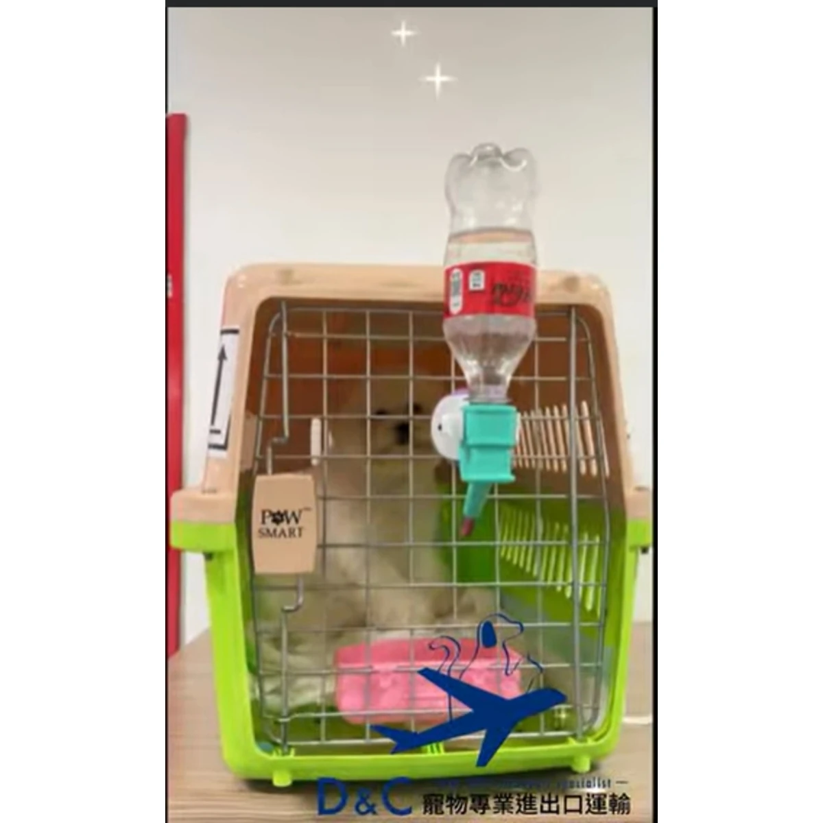 香港的出國檢疫與相關運輸手續 | 感謝熊孩子部屋BearKids Kennel 的信任與支持！