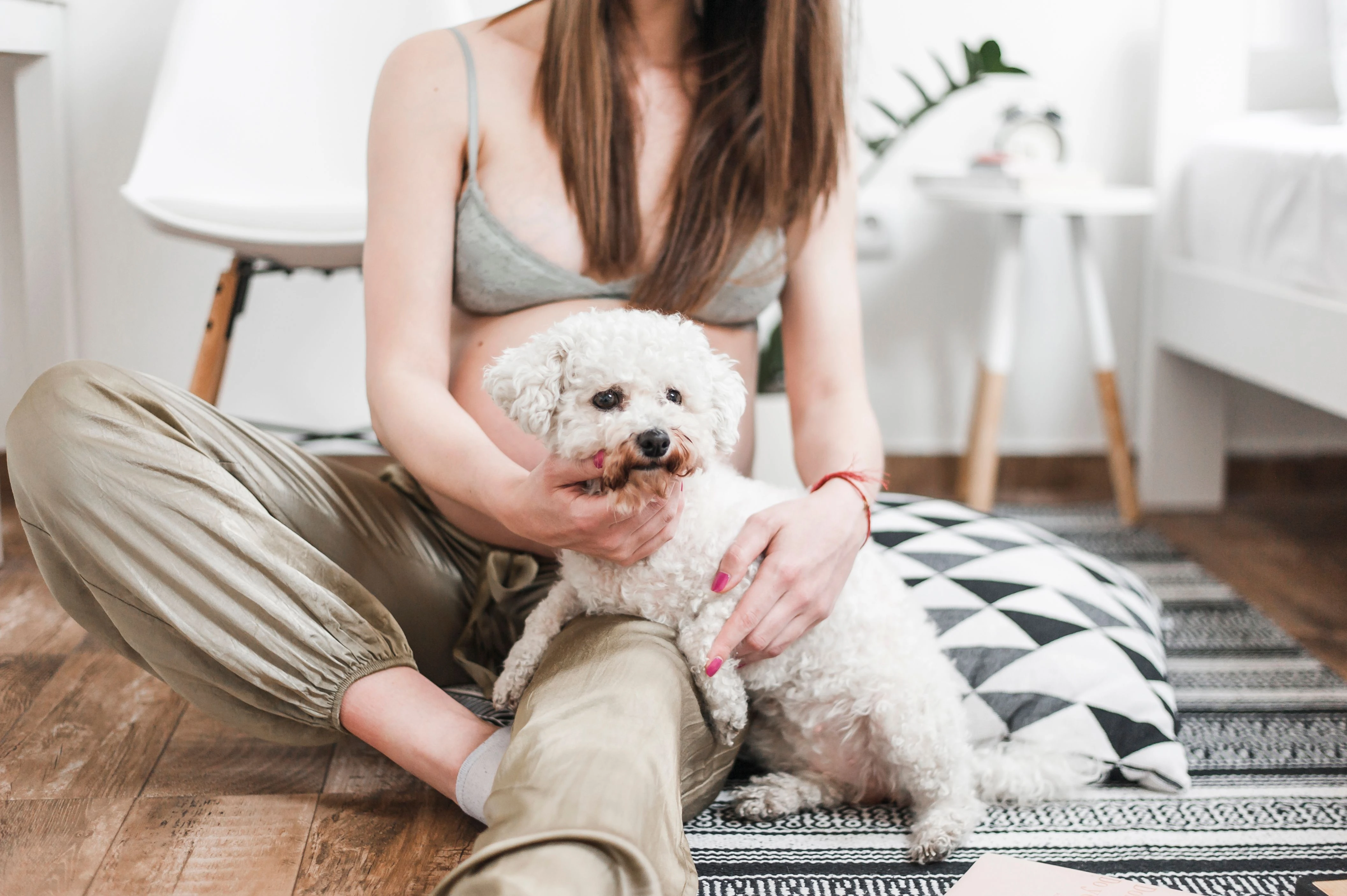 代辦寵物出國-狂犬病抗體檢測報告
