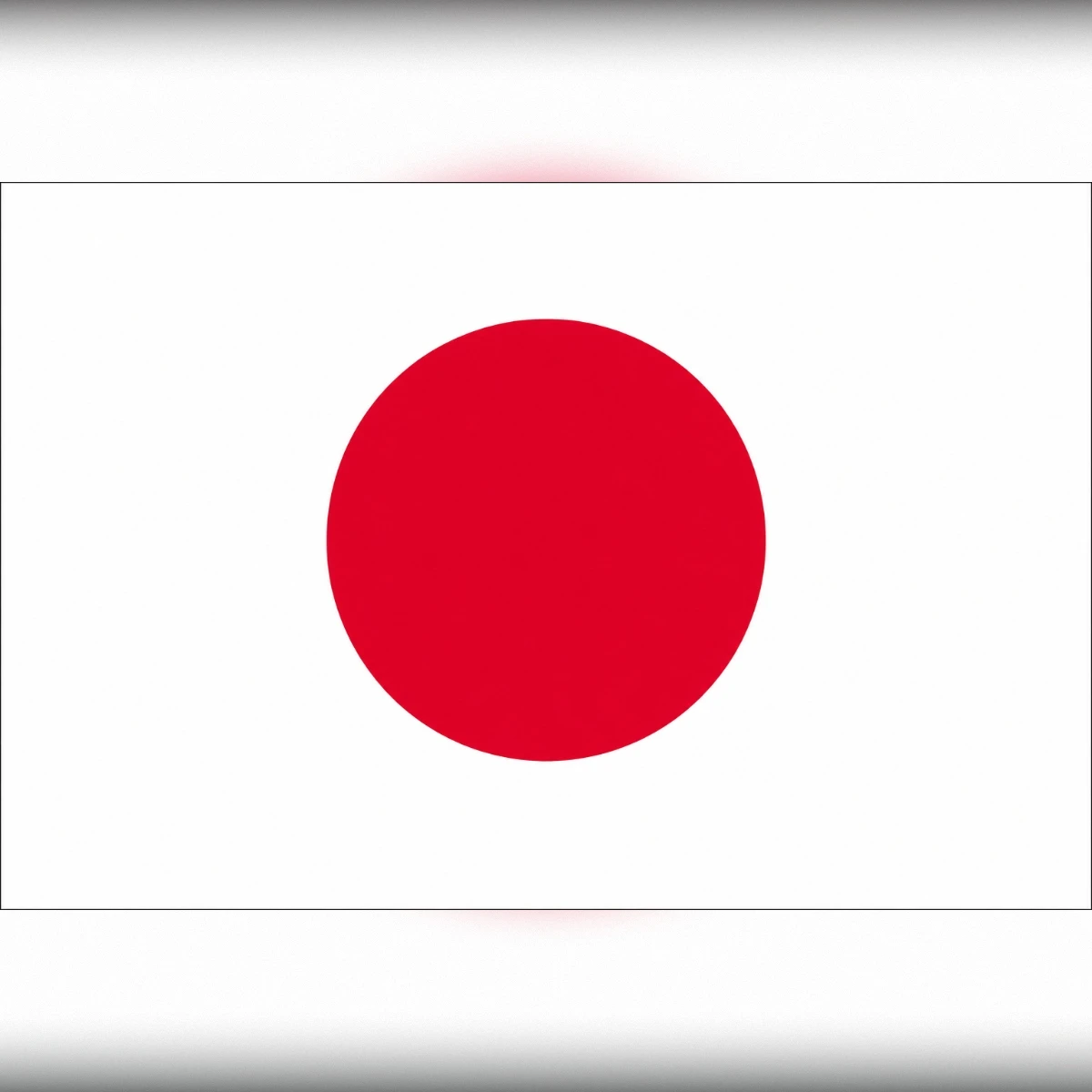 日本寵物運輸｜台灣出境＋日本入境文件準備