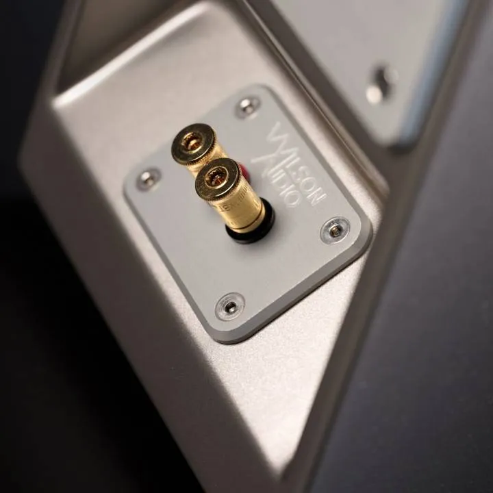 美國 Wilson Audio TuneTot 書架式喇叭 請來電洽詢