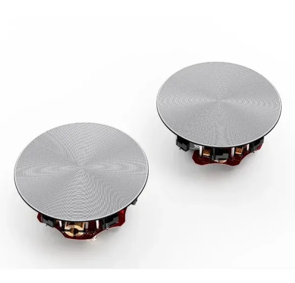 PERLISTEN® R2ic 崁頂式揚聲器 請來電洽詢
