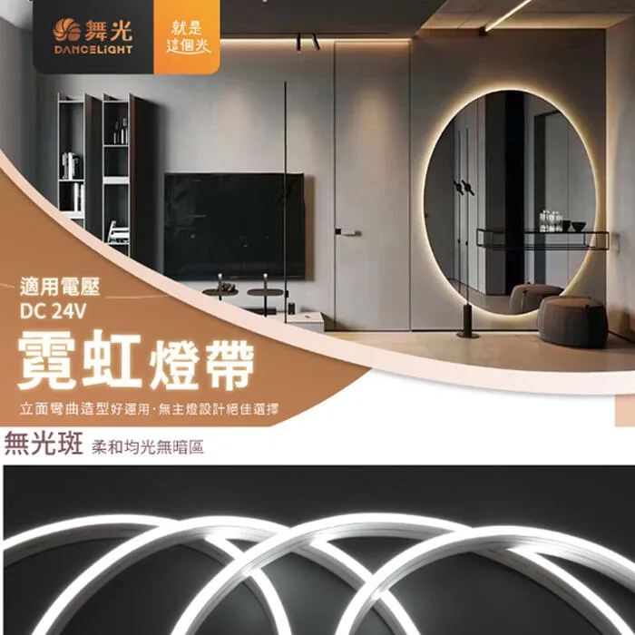 舞光 霓虹 戶外 DC24V 軟條燈 正發光 側發光 一捆五米 驅動器另購 LED-35NT24V8