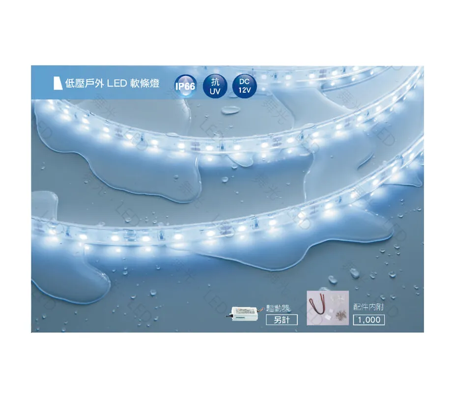 5050低壓戶外高亮型LED軟條燈 (白光/黃光) 驅動器另購，一捆五米  LED-50WO12V-R3