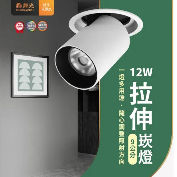 舞光 LED 12W 拉伸崁燈 可轉角崁燈 崁入孔9公分 白光/自然光/黃光 D-9DOE12