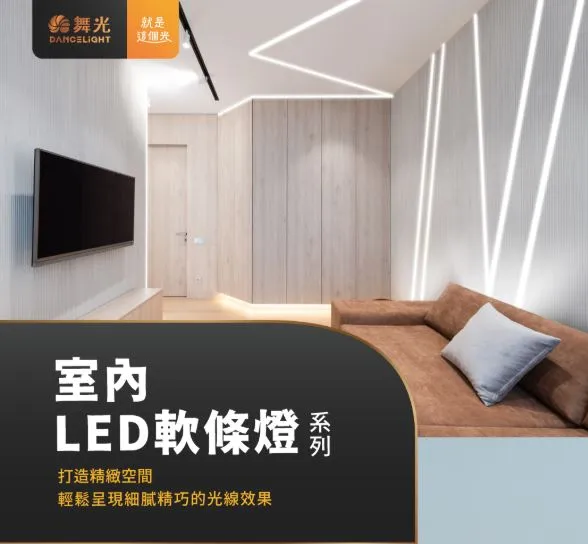 舞光 DC12V 室內專用軟條燈 一捆5米 寬5mm 8mm 驅動器另購 D-35NA12V8R1 D-35NA12V8R2