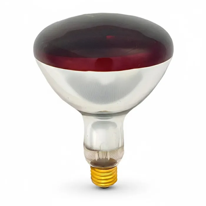 250W 紅外線燈泡 PAR38-250W