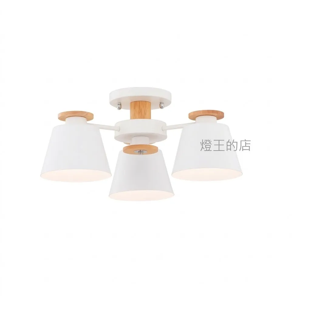 布拉格 半吸頂燈3燈 客廳 房間 餐廳燈 11286/C3