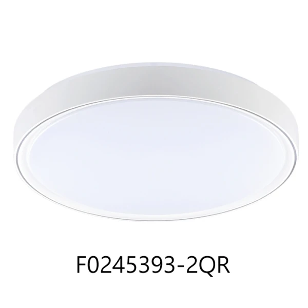 可換式三色變光 LED 65W吸頂燈 附遙控器 可調光調色 客廳燈 臥室燈 F0245393-2QR