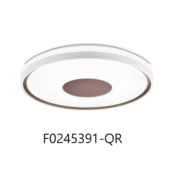 可換式三色變光 LED 65W吸頂燈 附遙控器 可調光調色 客廳燈 臥室燈 F0245391-QR