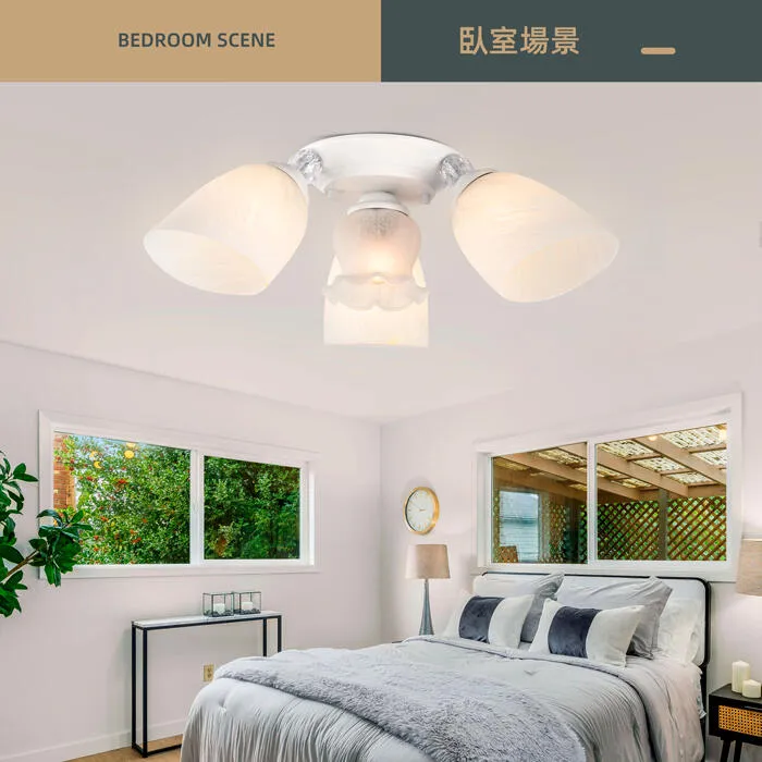 柏拉圖 設計師新款 半吸頂燈3+1燈/5+1燈/6+1燈 客廳燈 房間燈 餐廳燈 A3514/3+1 A3514/5+1 A3514/6+1