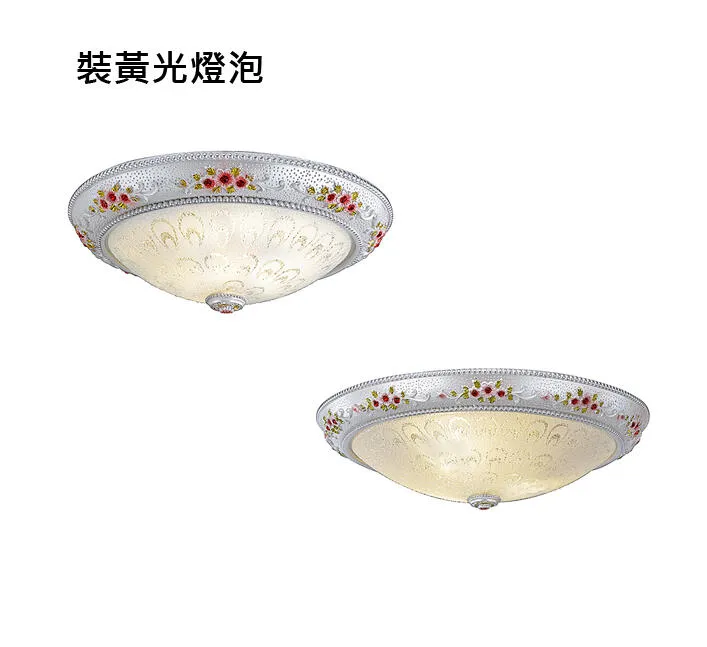 拍拉圖 設計師嚴選 吸頂燈 2燈 / 3+1燈 房間燈 書房燈 走道燈 2燈80811/2 3+1燈80811/3