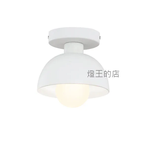 柏拉圖 工業風 玄關燈 陽台 走道燈 吸頂燈1燈 白色C59-01W  黑色C59-01B