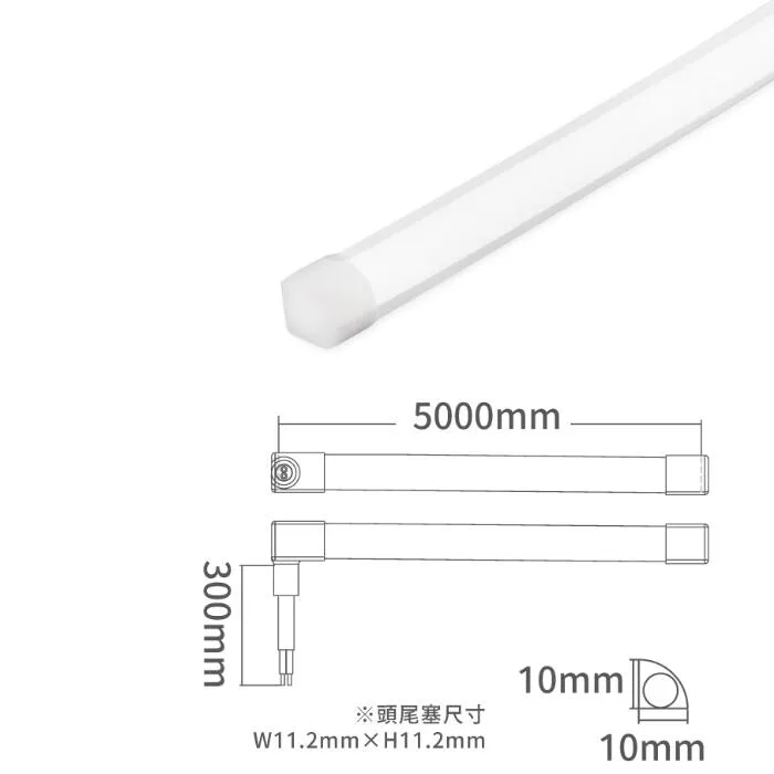 舞光 角落霓虹DC24V軟條燈 一捆五米 可任意剪裁 驅動器另購 D-35NT24V9CO