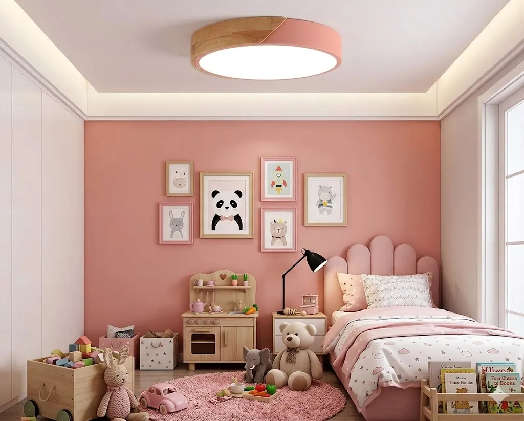 柏拉圖 北歐風 24W LED吸頂燈 三色變光 房間燈 走道燈 玄關燈 C0059-24W-B黑色 C0059-24W-P粉紅色 C0059-24W-W白色