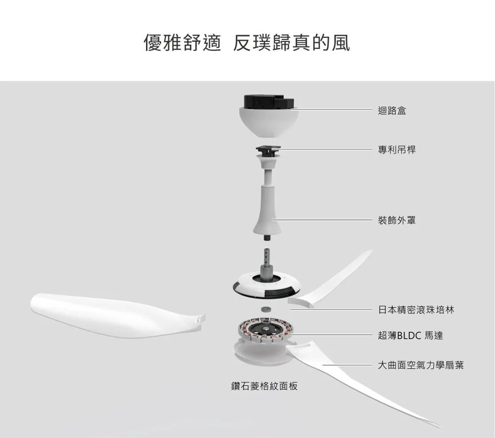 SUNON 60吋建準吊扇 Modern HVLS Fan當代經典 DC直流節能自然風 BCTC0DA060A-02F-W52