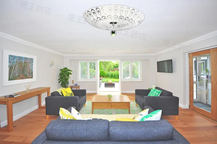 柏拉圖 吸頂燈 附IC 客廳燈 餐廳燈 房間燈 5+1燈C59-13/5 3+1燈C59-13/3