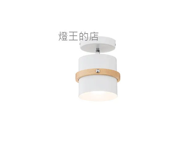 柏拉圖 玄關燈 陽台 吸頂燈1燈 角度可調整 黑色C59-23/B 白色C59-23/W