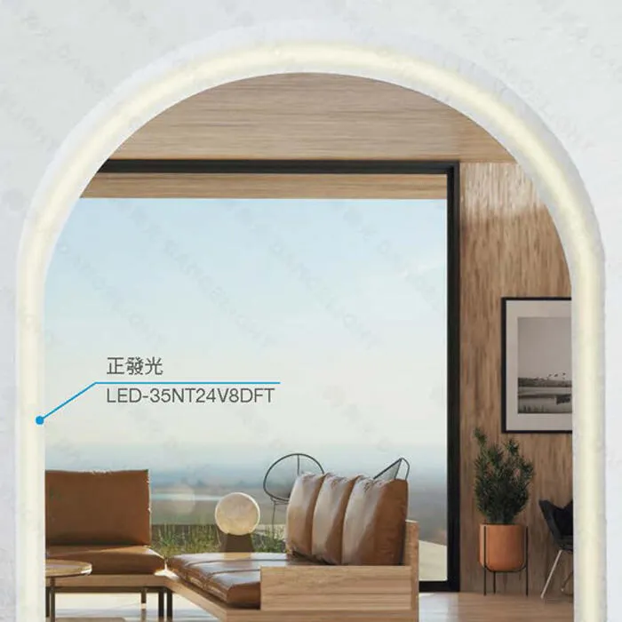 舞光 霓虹 戶外 DC24V 軟條燈 正發光 側發光 一捆五米 驅動器另購 LED-35NT24V8