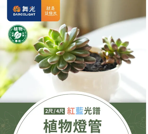 舞光T8 LED 2尺 9W / 4尺 18W 全光譜.紅藍光譜植物燈管 植物專用 LED-T818  LED-T89