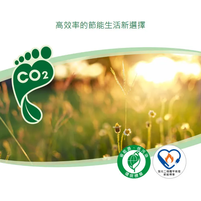 舞光 LED 25W 2尺x2尺 環標柔光平板燈 輕鋼架燈 D-PD25-EGR1 通過環保標章/節能標章