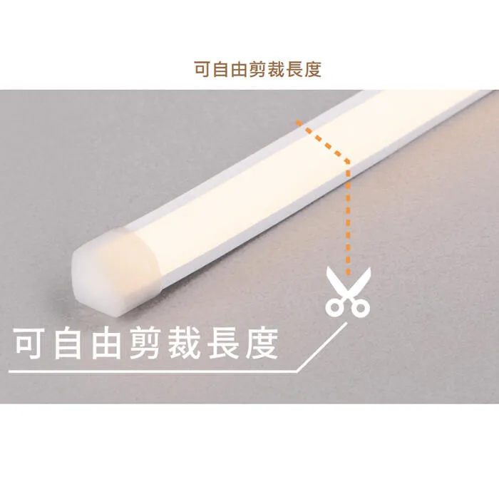 舞光 角落霓虹DC24V軟條燈 一捆五米 可任意剪裁 驅動器另購 D-35NT24V9CO