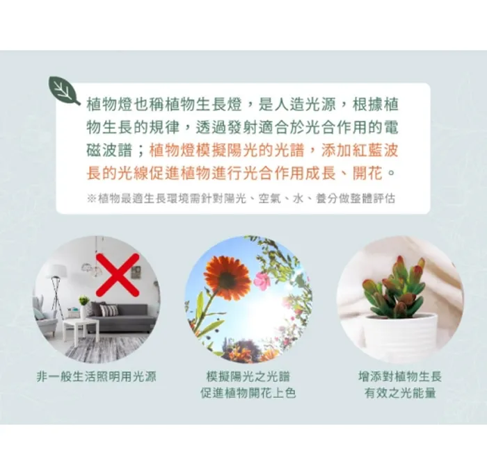 舞光 植物燈專用 紅藍光譜LED-PAR3824RB PAR38 E27燈頭  防水型 LED 24W