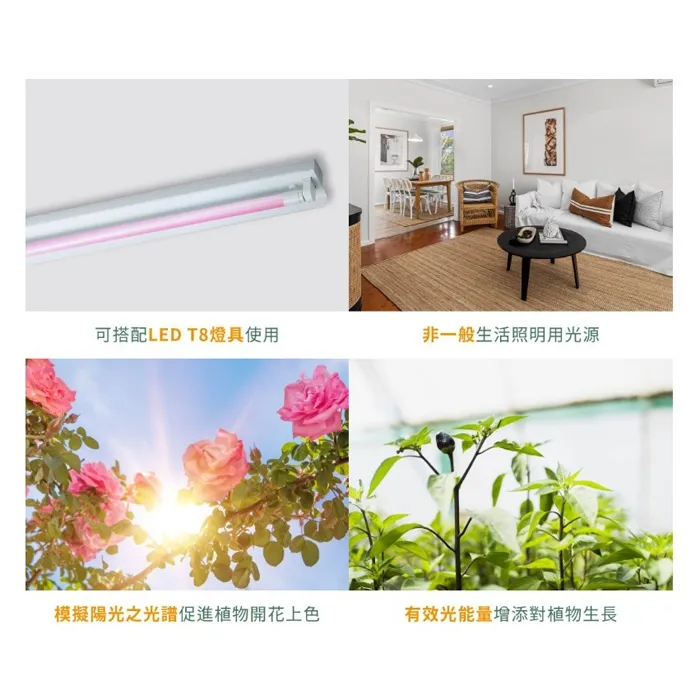 舞光 植物燈管 T8 LED 4尺 18W 紅藍光譜植物燈管 植物專用 LED-T818RB