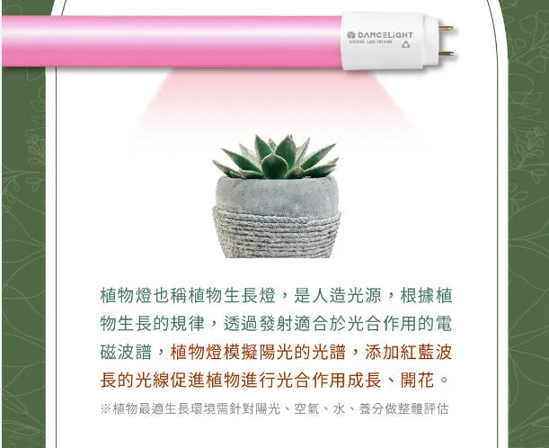 舞光T8 LED 2尺 9W / 4尺 18W 全光譜.紅藍光譜植物燈管 植物專用 LED-T818  LED-T89