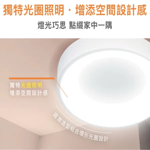 舞光 LED 24W 嫦娥壁切吸頂燈 (D-CEC24SW) 二段壁切 無藍光危害 白框/木紋框