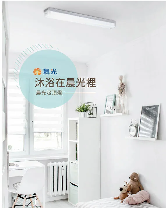 舞光 LED 2尺 / 4尺晨光吸頂燈 防眩罩 一體式 室內專用白光6500K  LED-2216D 4216D