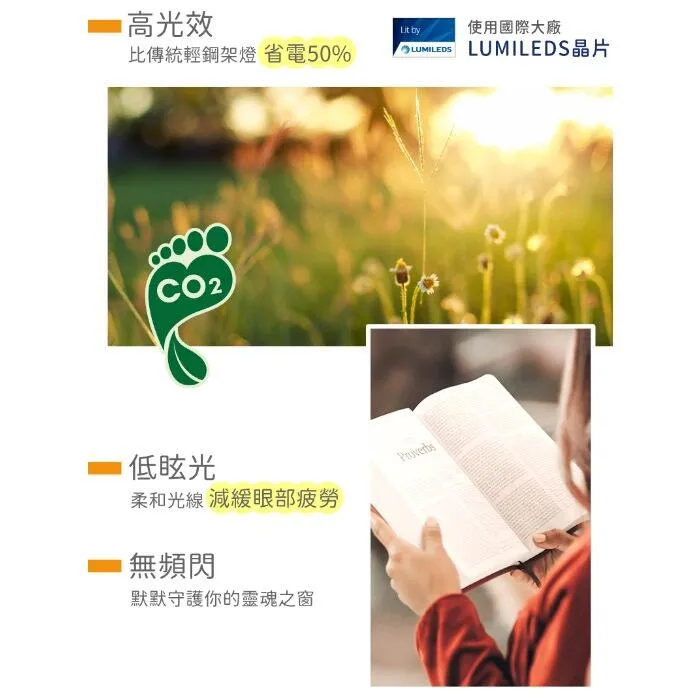 舞光 LED 40W 2尺x2尺 柔光平板燈 輕鋼架燈 全電壓 白光/自然光/暖白光  LED-PD40