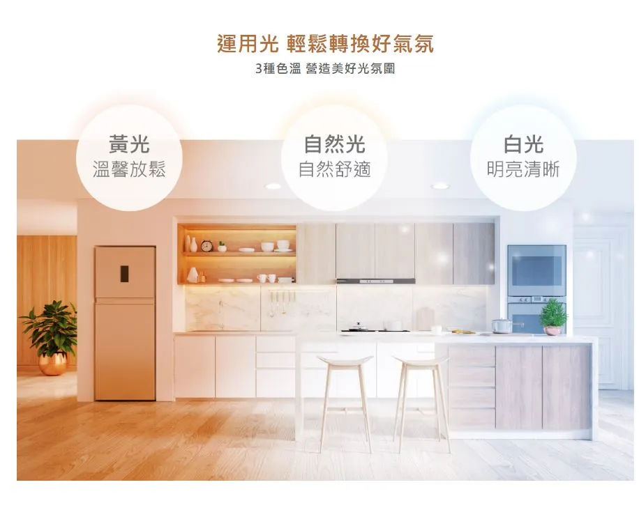 舞光 LED 25W 索爾崁燈 崁入孔21公分 適用5米 無藍光 白光D-21DOP25DR2 自然光D-21DOP25NR2 黃光D-21DOP25WR2