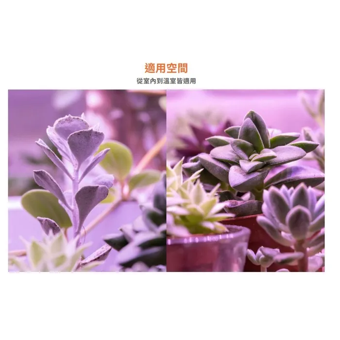 舞光 植物燈管 T8 LED 4尺 18W 紅藍光譜植物燈管 植物專用 LED-T818RB