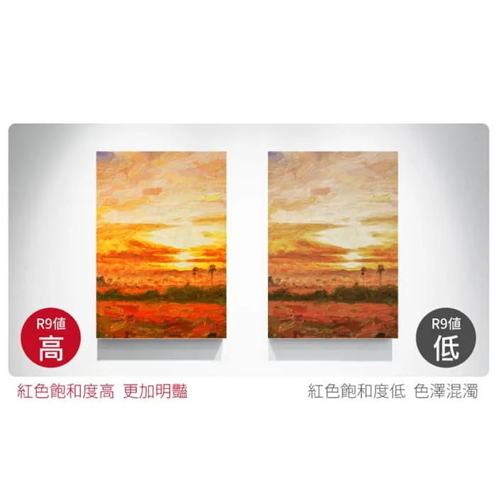 舞光 室內用 DC24V 50W微剪高演色COB軟條燈 一捆五米 D-CO24V10S 