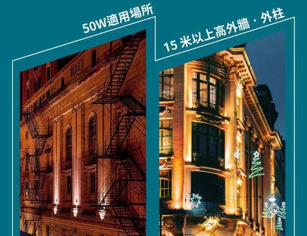 舞光 LED 50W 35° 投射型照樹 洗柱燈 戶外洗柱燈 OD-3201