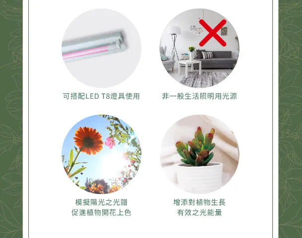 舞光T8 LED 2尺 9W / 4尺 18W 全光譜.紅藍光譜植物燈管 植物專用 LED-T818  LED-T89