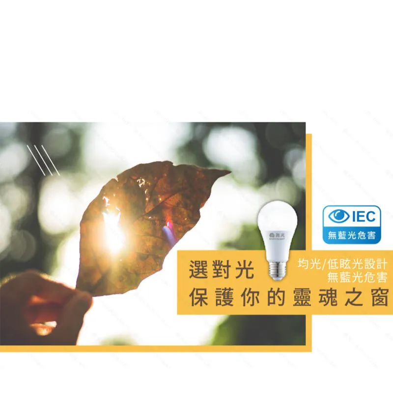 舞光 LED燈泡 20W 25W 38W 50W球泡 E27燈頭 無藍光 全電壓 D-E27