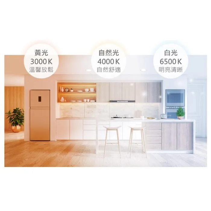 舞光 LED 40W 2尺x2尺 柔光平板燈 輕鋼架燈 全電壓 白光/自然光/暖白光  LED-PD40