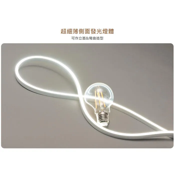 舞光 迷你霓虹DC24V軟條燈-側發光一捆五米 可任意剪裁 驅動器另購 D-35NT24V9SI
