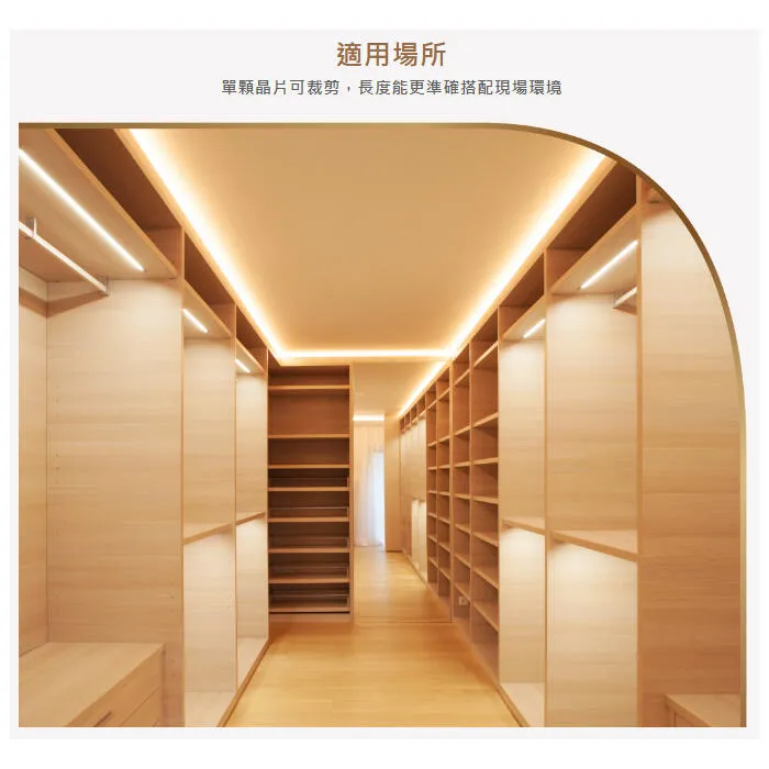 舞光2835 室內用 DC24V 60W單顆剪裁軟條燈 一捆五米 D-35NA24V12S 驅動器另購