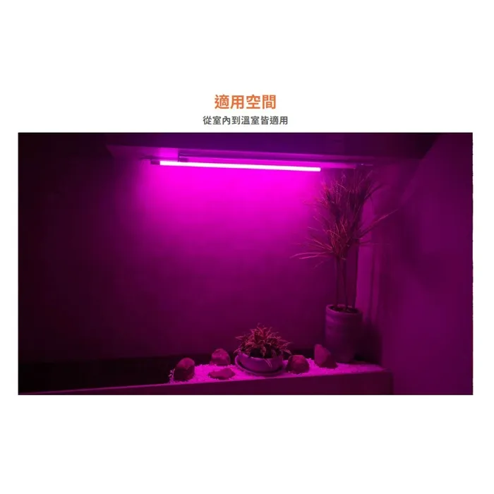 舞光 植物燈管 T8 LED 2尺 9W 紅藍光譜植物燈管 植物專用 LED-T89RB  