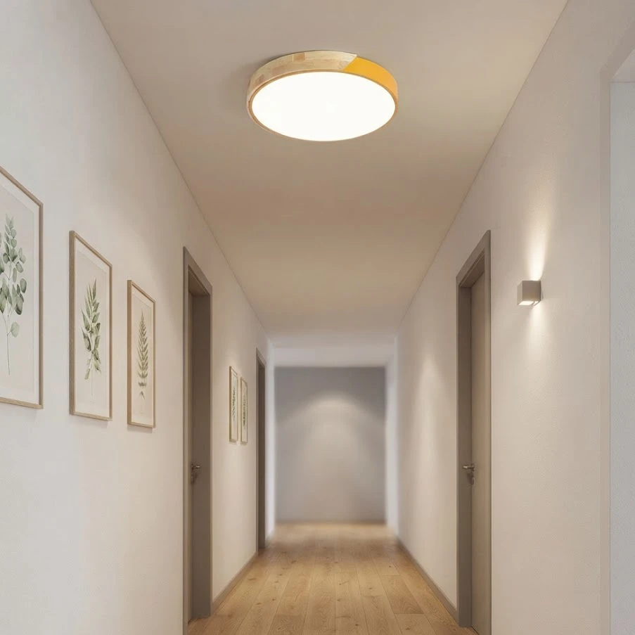燈時代 北歐風16W LED吸頂燈 4000K 自然光 房間燈 走道燈 玄關燈 C0059-16W-B黑色 C0059-16W-W白色 C0059-16W-P粉紅色  C0059-16W-Y黃色