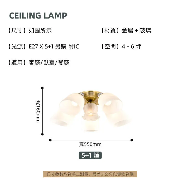 柏拉圖 設計師新款 半吸頂燈3+1燈/5+1燈/6+1燈 客廳燈 房間燈 餐廳燈 A3514/3+1 A3514/5+1 A3514/6+1
