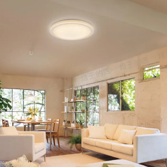 國際牌 LED 31.7W 星耀增亮版調光調色吸頂燈 LGC31301A09 保固5年