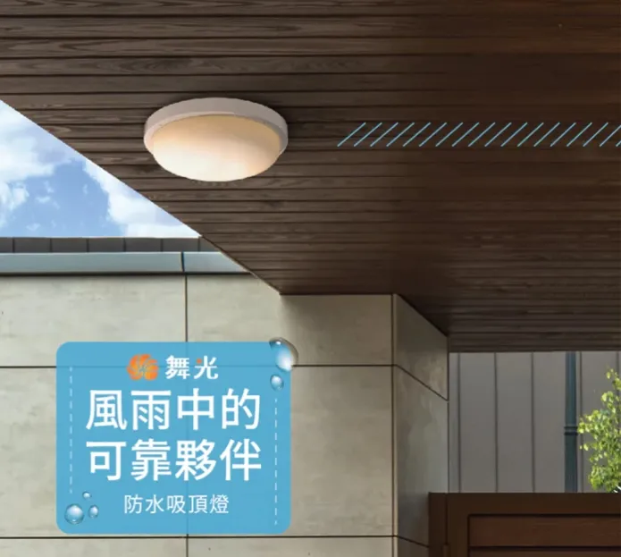 舞光 LED 10W16W 防水膠囊壁燈/吸頂燈 (OD-WL10 /OD-CE16) IP66白光/黃光